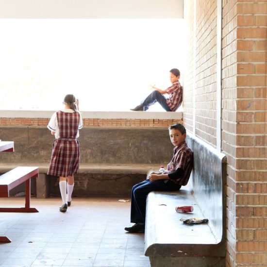 Alejandro Cartagena Escuela Primaria Carlos A. Carrillo en Ciudad Victoria Tamaulipas para el libro Arquitectura Escolar